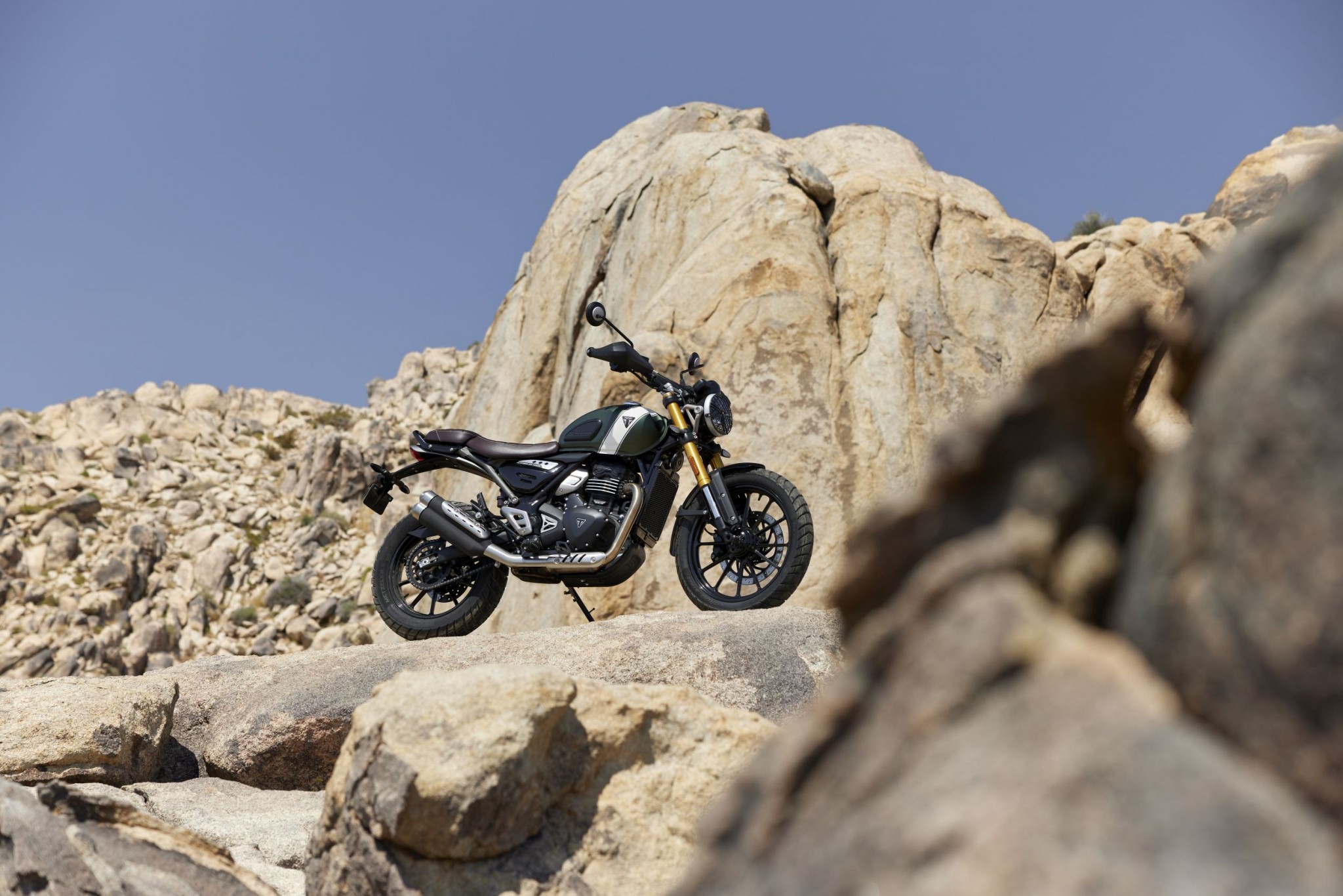 2024 Triumph Scrambler 400 X Mpg To Taryn Friederike