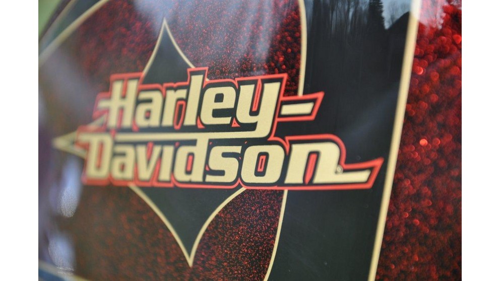 Harley-Davidson Sportster XL 1200 V Seventy-Two - Obrázok 19