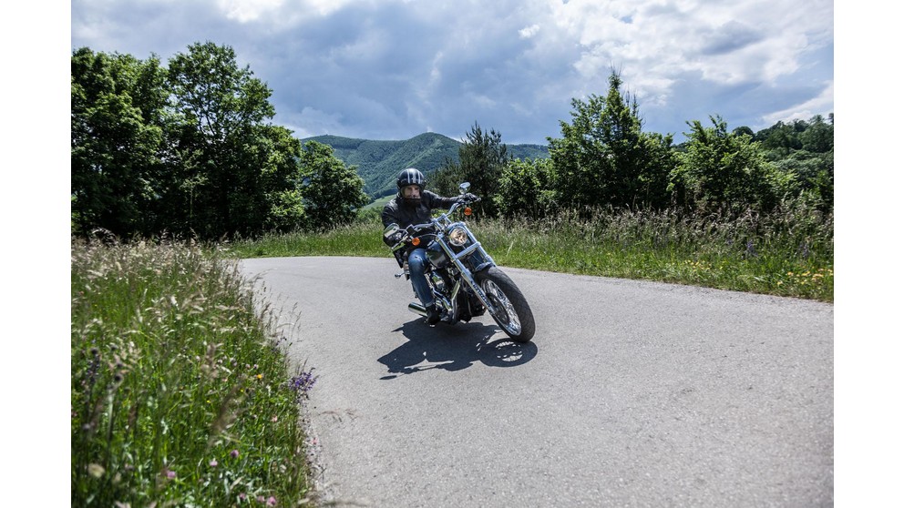 Harley-Davidson Dyna Low Rider FXDL - Imagen 24