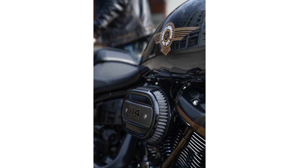 Harley-Davidson Fat Boy 30th Anniversary - Imagem 11
