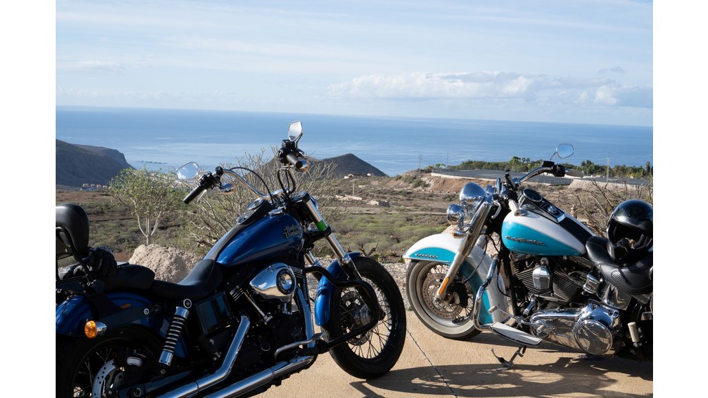 Harley-Davidson Softail Deluxe FLSTN - Imagem 7