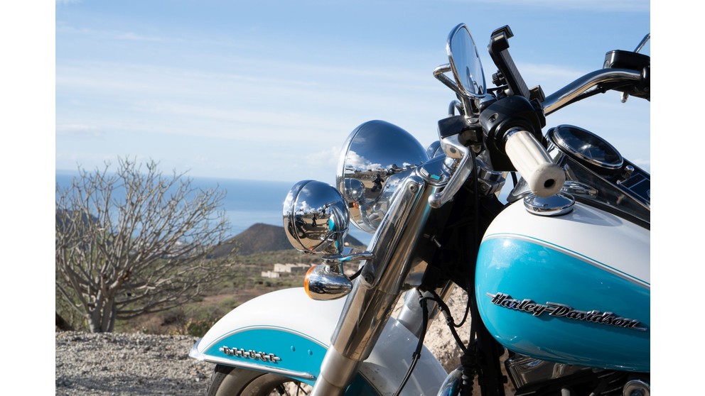 Harley-Davidson Softail Deluxe FLSTN - Slika 8