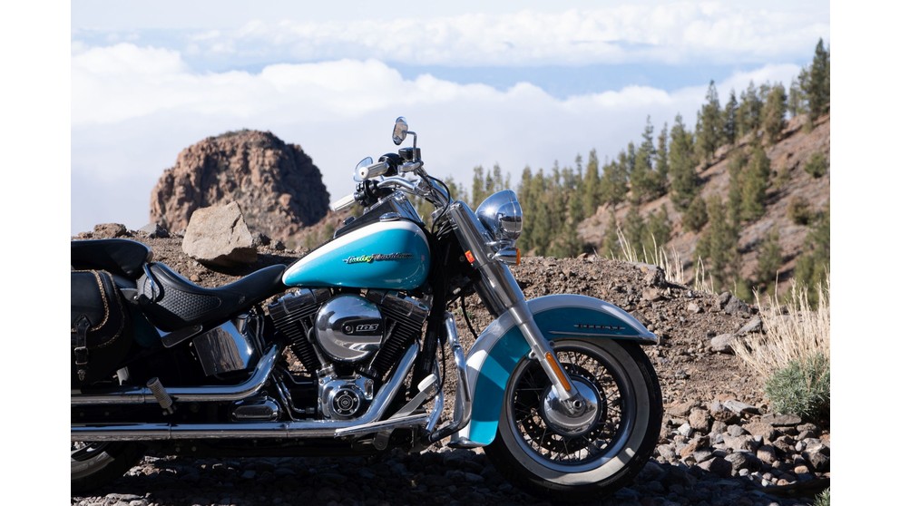 Harley-Davidson Softail Deluxe FLSTN - Imagem 14