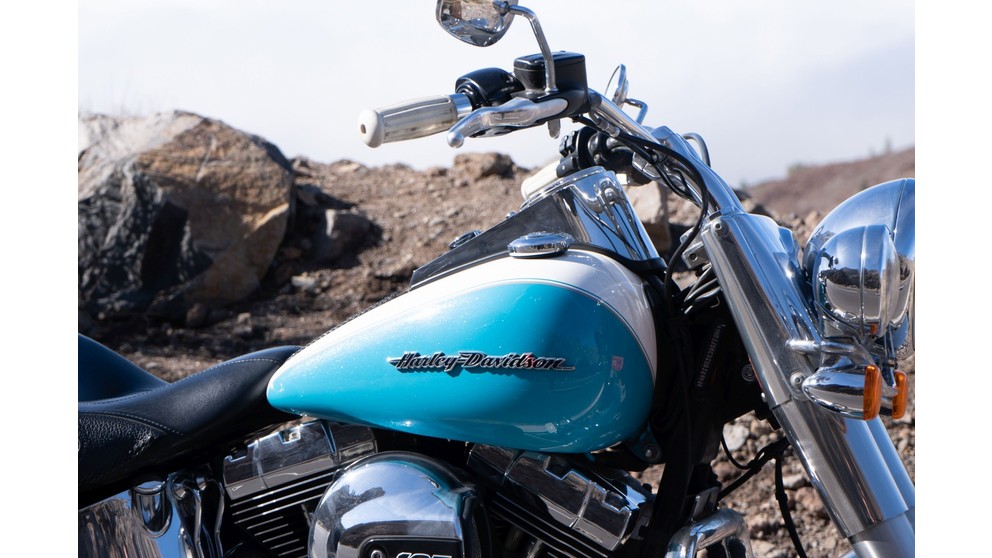Harley-Davidson Softail Deluxe FLSTN - Imagem 15
