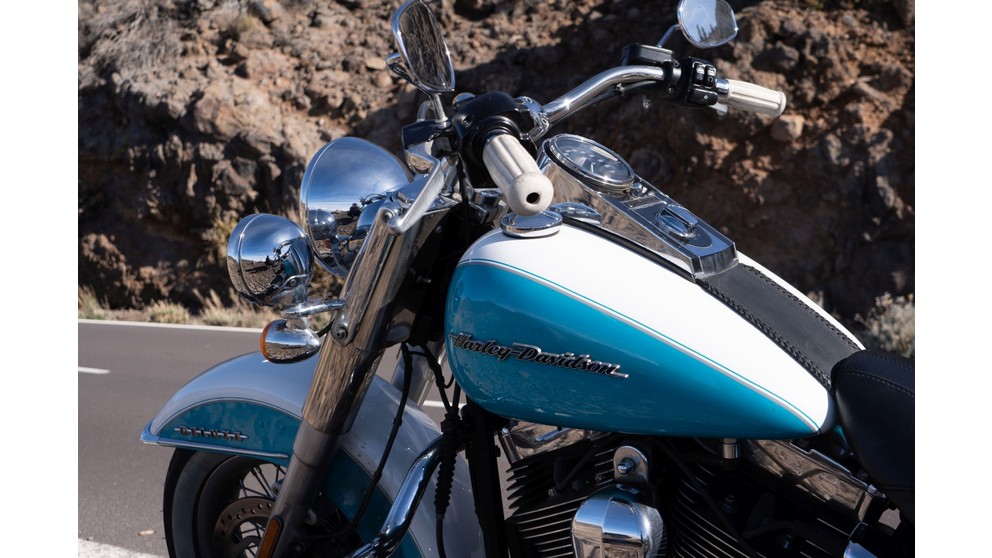 Harley-Davidson Softail Deluxe FLSTN - Imagem 16