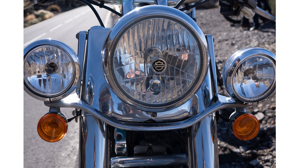 Harley-Davidson Softail Deluxe FLSTN - Imagem 17