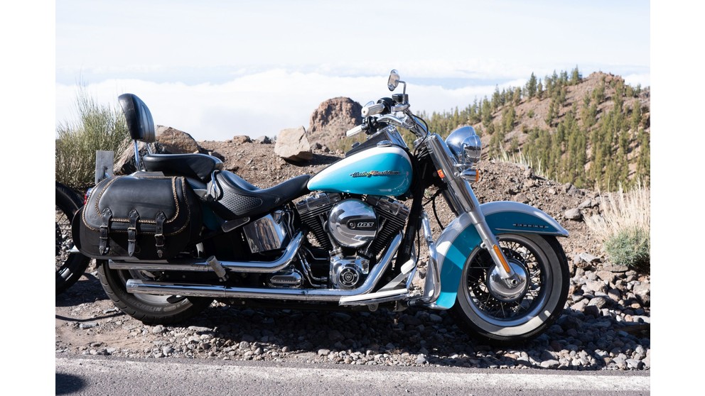 Harley-Davidson Softail Deluxe FLSTN - Imagen 19