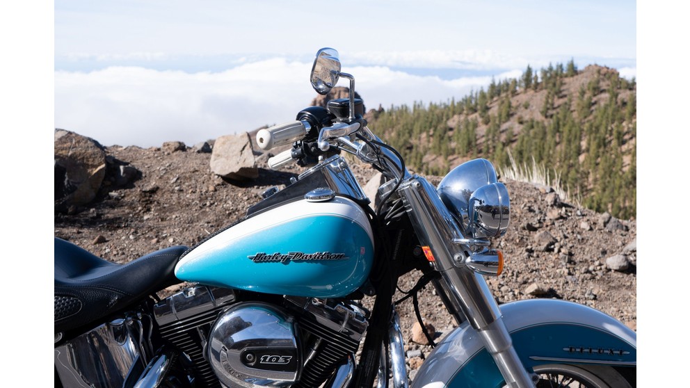 Harley-Davidson Softail Deluxe FLSTN - Slika 20