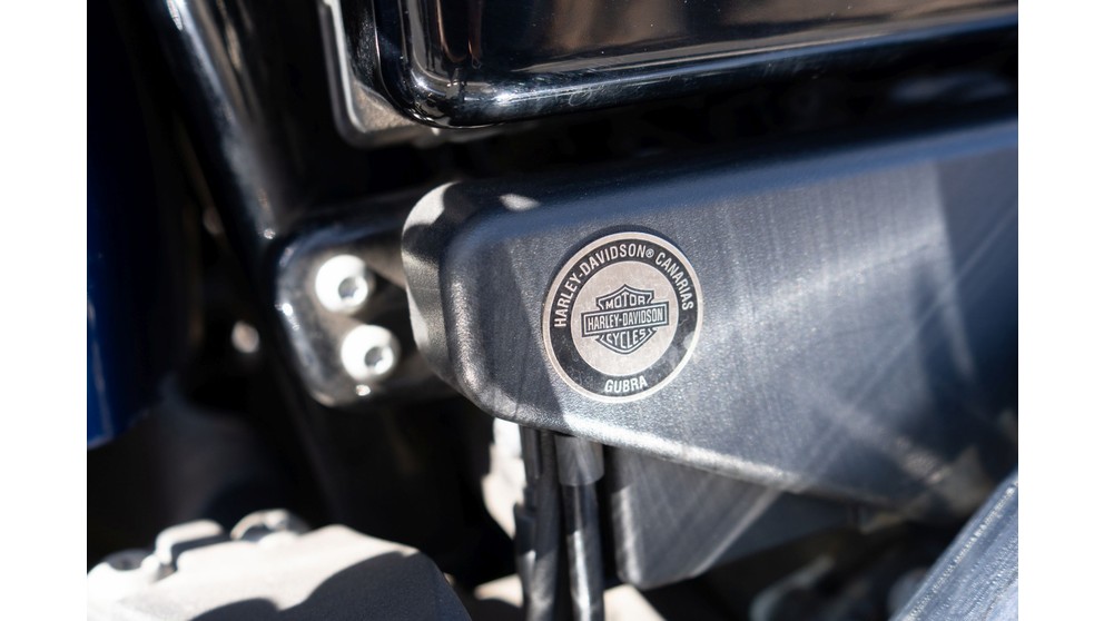 Harley-Davidson Softail Deluxe FLSTN - Imagem 24
