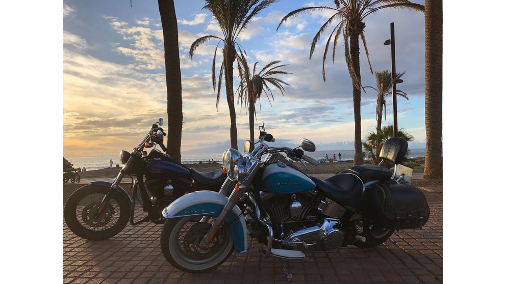 Harley-Davidson Softail Deluxe FLSTN - Bild 6