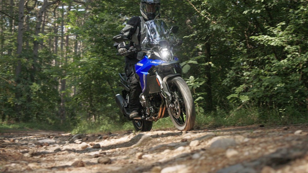 Suzuki V-Strom 800DE - Bild 10