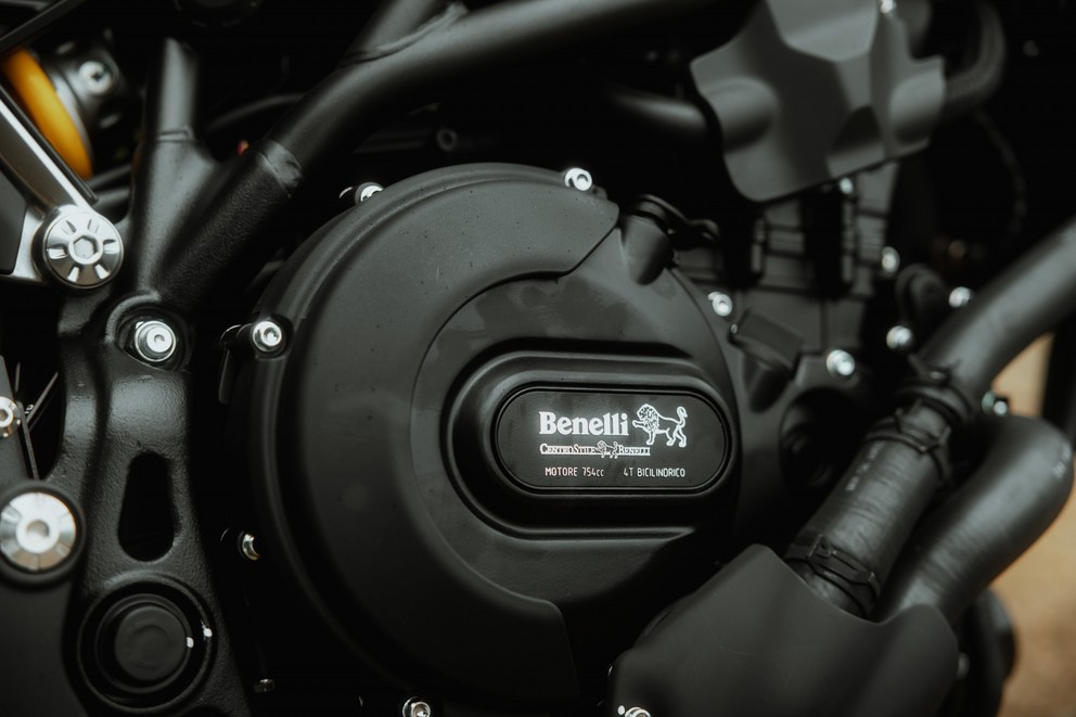 Benelli Leoncino 800 R - the Swiss Special Edition - Image 32